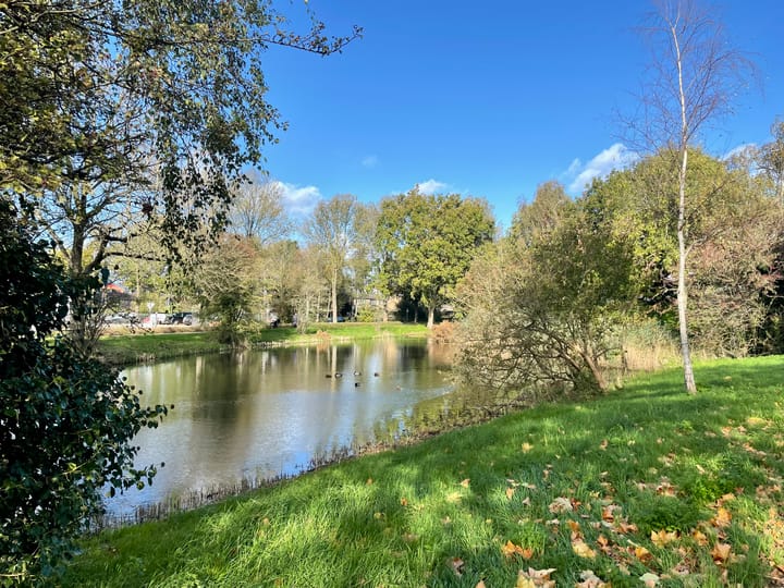 Foto 20 van Marsdiep 221