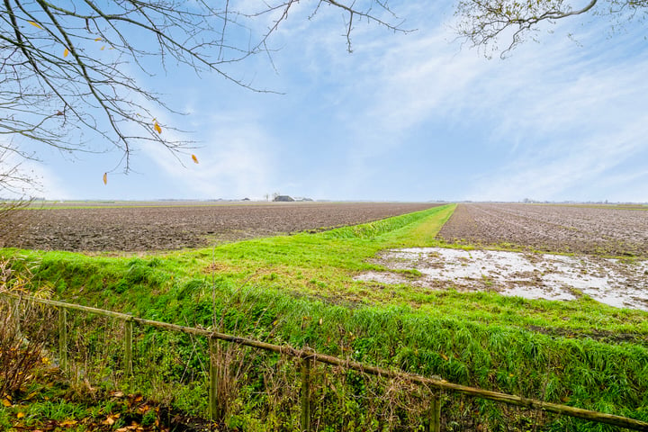 Bekijk foto 40 van Stougjesdijk 133