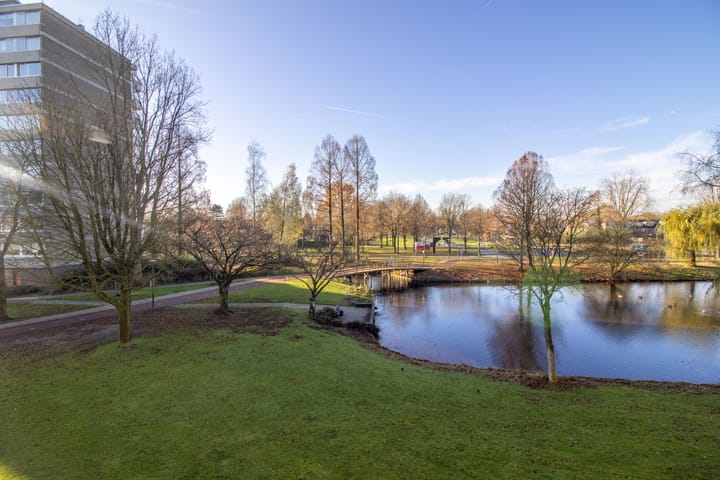 Foto 21 van Veenbesstraat 320