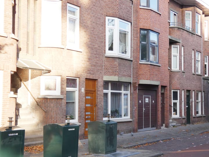 Foto 2 van Drijfriemstraat 71