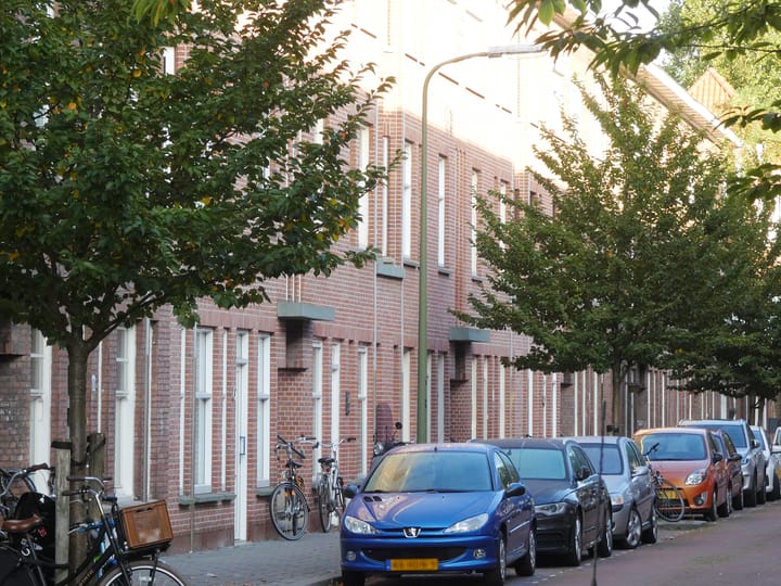 Foto 3 van Drijfriemstraat 71