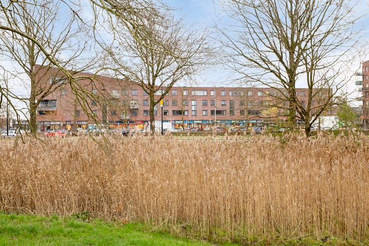 Foto 30 van Anna Blamanplantsoen 21