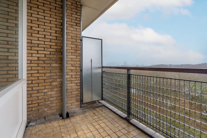 Foto 2 van Livingstonelaan 888