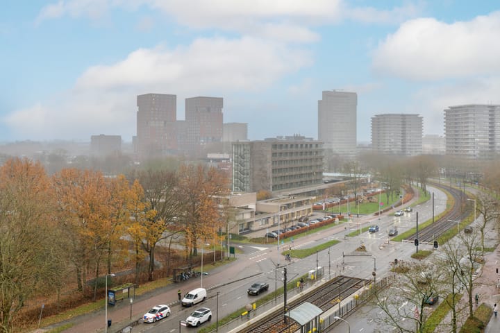 Photo 9 of Livingstonelaan 888