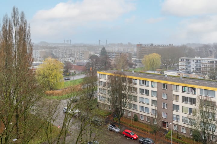 Photo 23 of Livingstonelaan 888