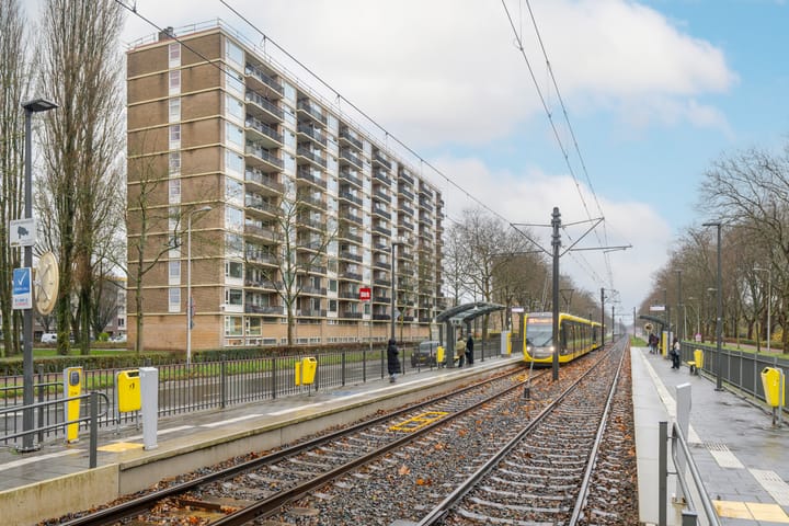 Photo 26 of Livingstonelaan 888