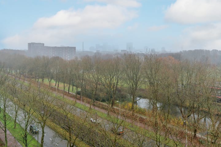 Foto 3 van Livingstonelaan 888