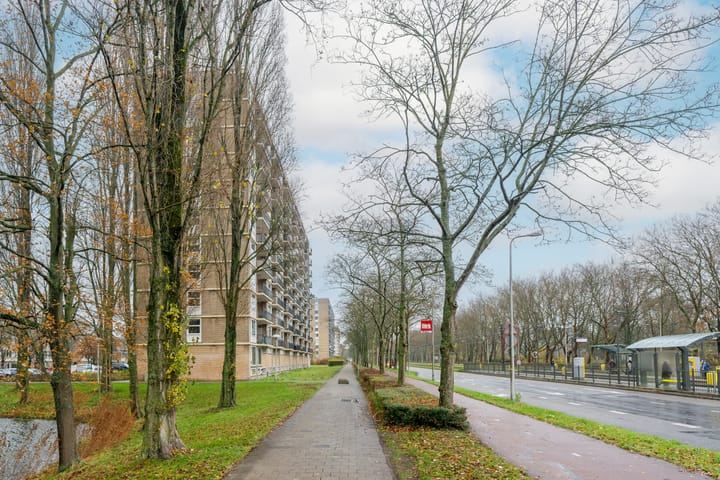 Photo 27 of Livingstonelaan 888