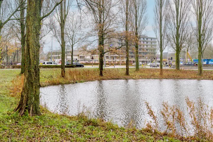 Photo 28 of Livingstonelaan 888