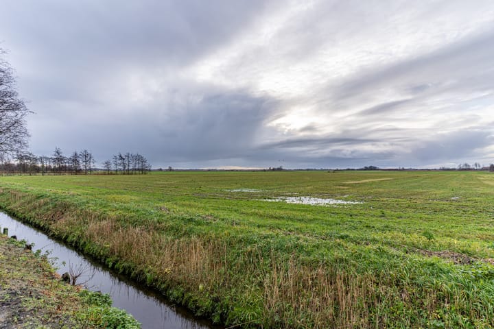 Foto 12 van Singel 15