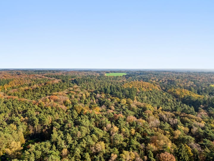 Foto 14 van Selterskampweg 71