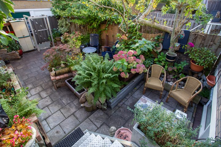 Foto 28 van Ridderhoflaan 53