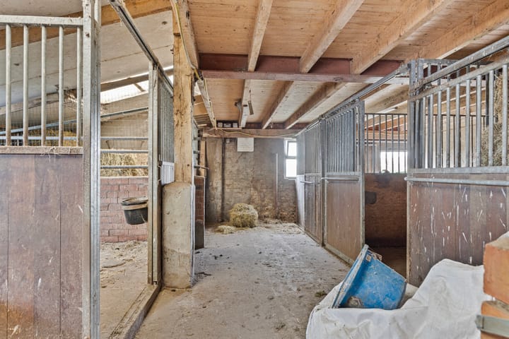 Foto 29 van Mereltjesstraat 10-A