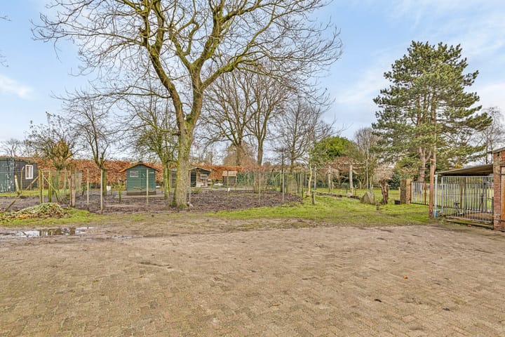 Foto 32 van Mereltjesstraat 10-A