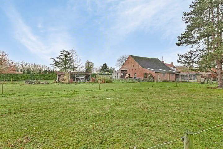 Foto 36 van Mereltjesstraat 10-A