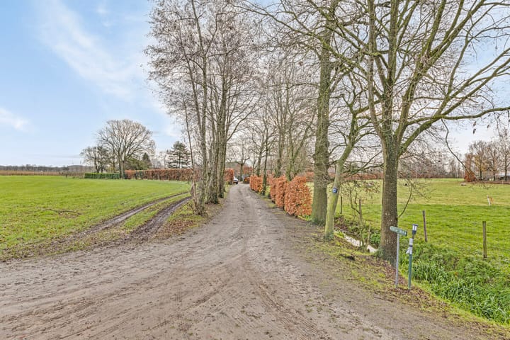 Foto 37 van Mereltjesstraat 10-A