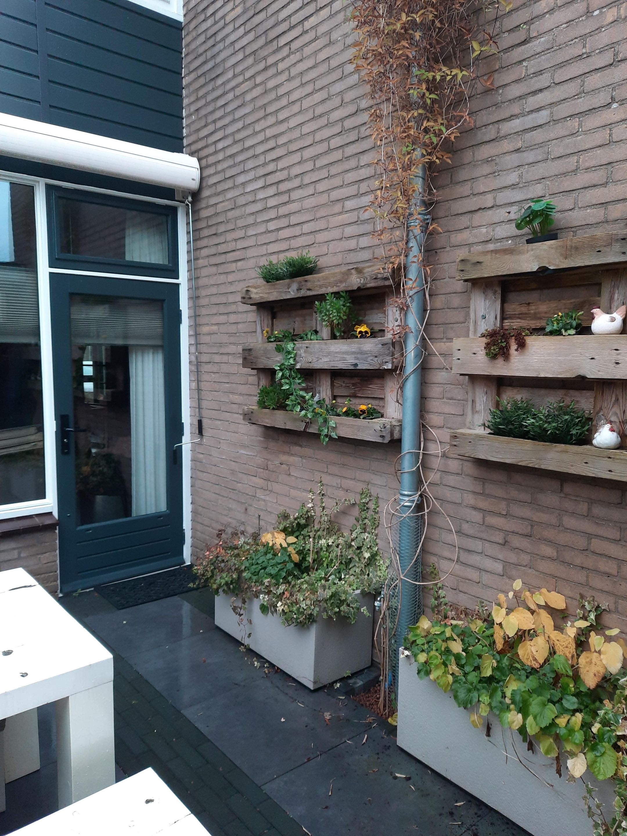 Foto 33 van Wilgenlaan 166