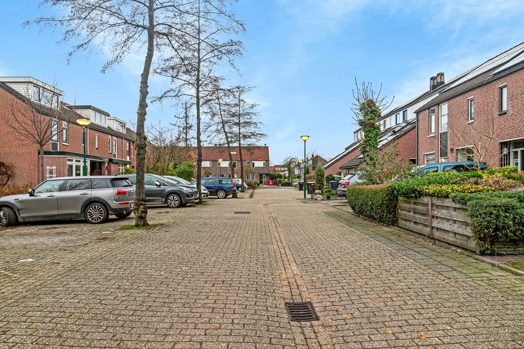 Foto 32 van Gemshoorn 15