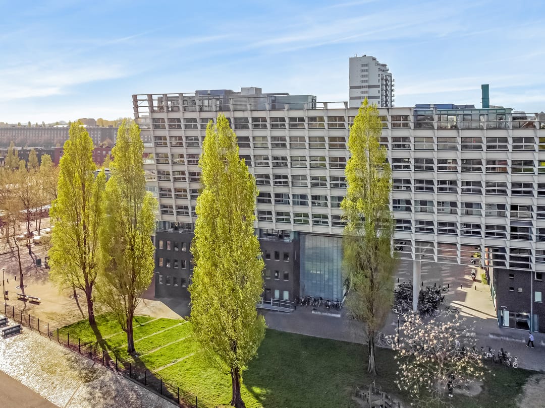 Photo 1 of Borneolaan 281