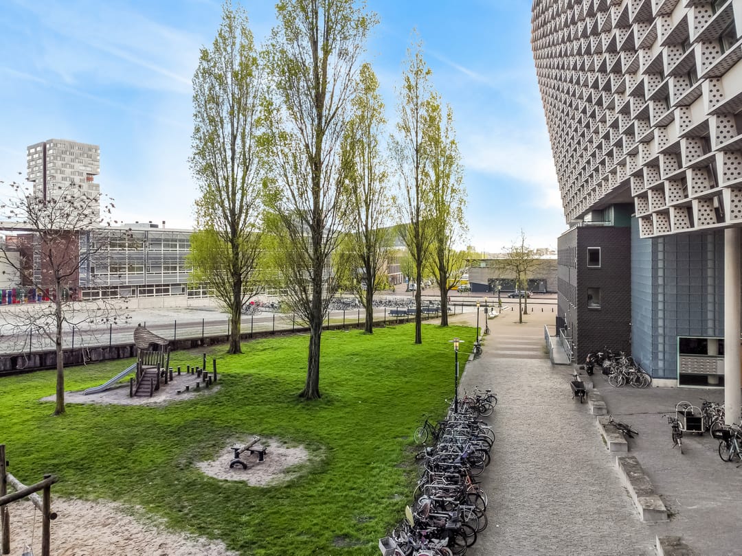 Photo 26 of Borneolaan 281