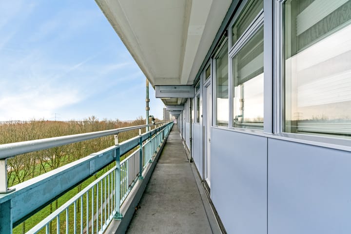 Photo 6 of Pharus 173