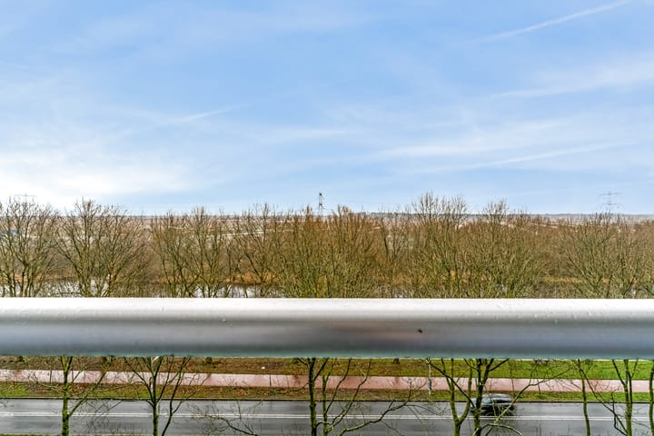 Photo 9 of Pharus 173