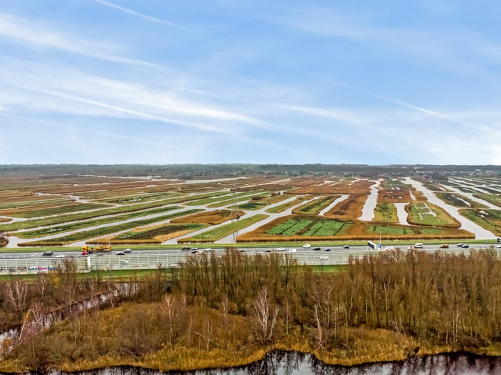 Photo 8 of Pharus 173