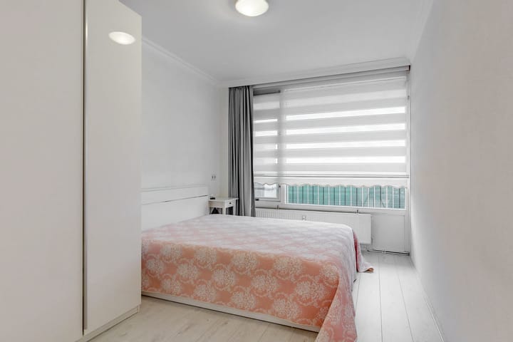 Photo 19 of Pharus 173