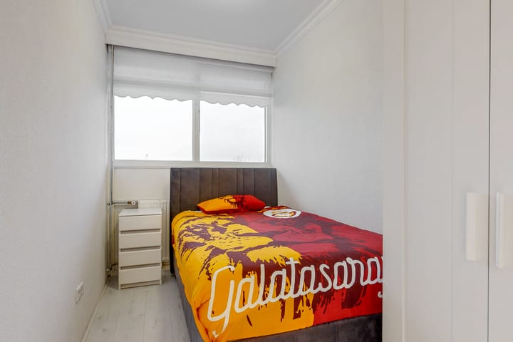 Photo 23 of Pharus 173