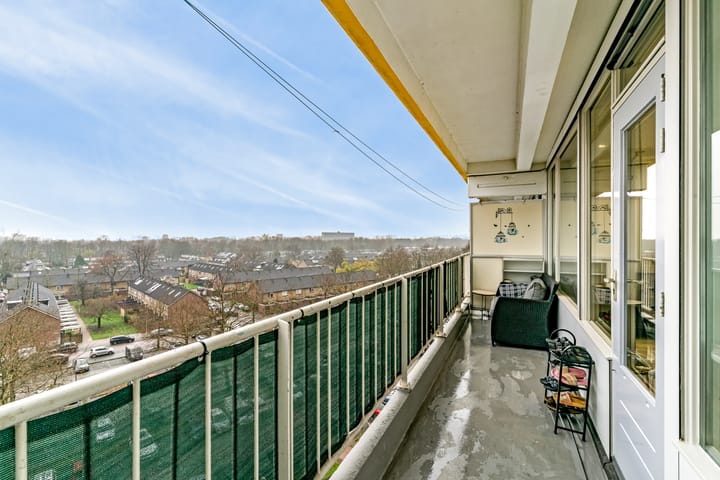 Photo 27 of Pharus 173