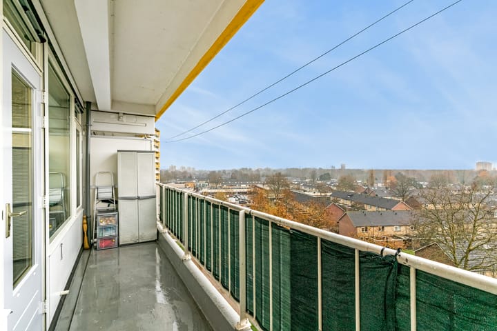 Photo 28 of Pharus 173