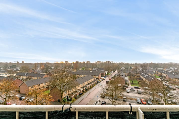 Photo 29 of Pharus 173