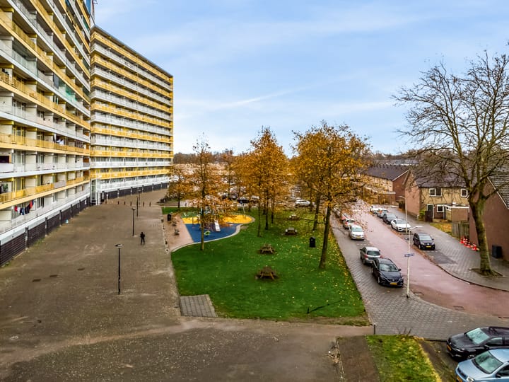 Photo 30 of Pharus 173