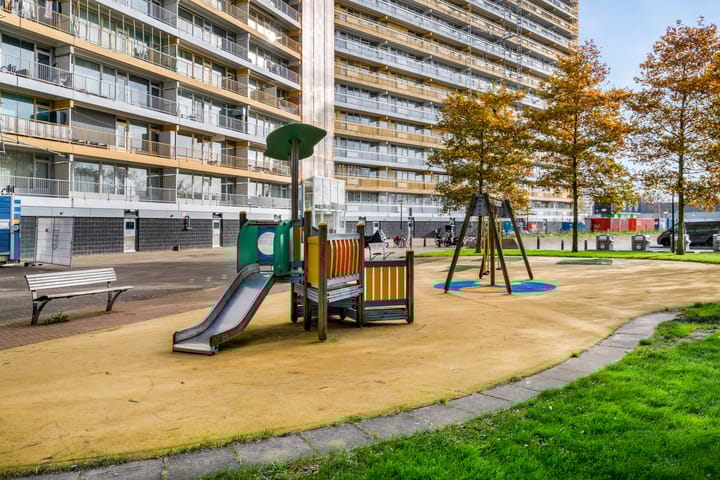 Photo 31 of Pharus 173