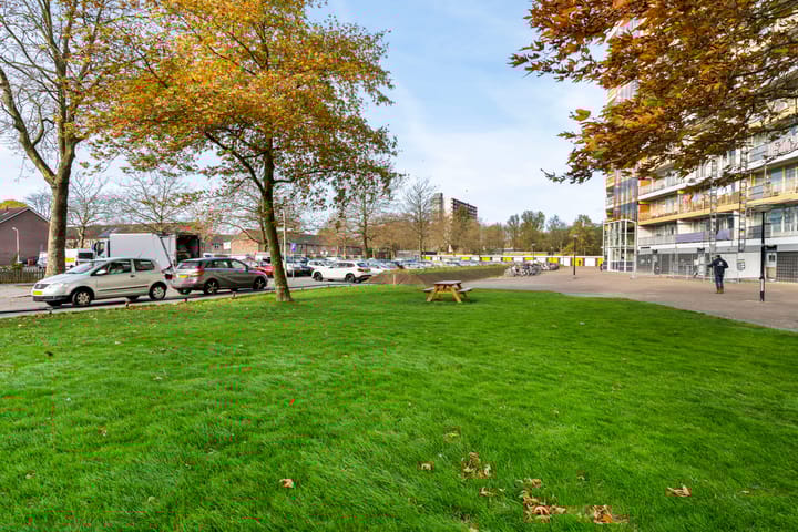 Photo 33 of Pharus 173