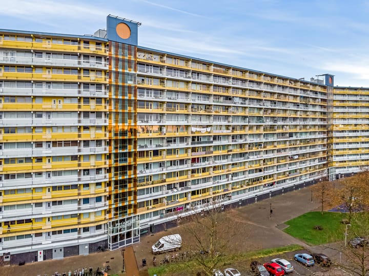 Photo 36 of Pharus 173