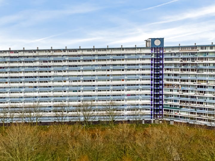 Photo 38 of Pharus 173