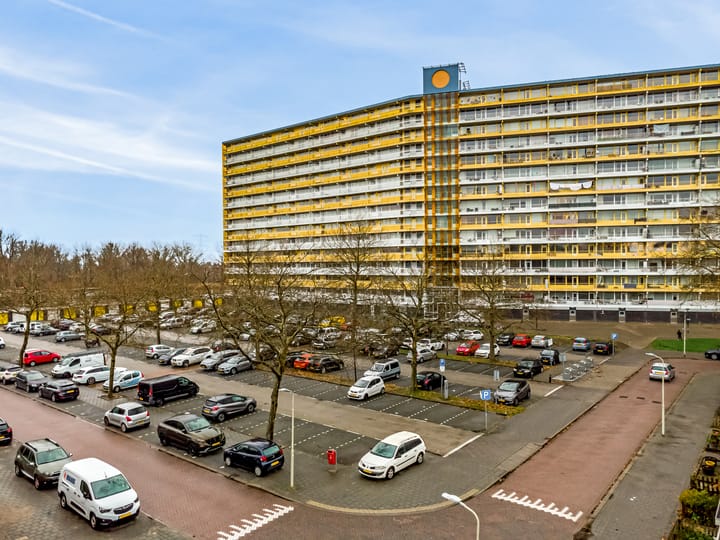 Photo 35 of Pharus 173