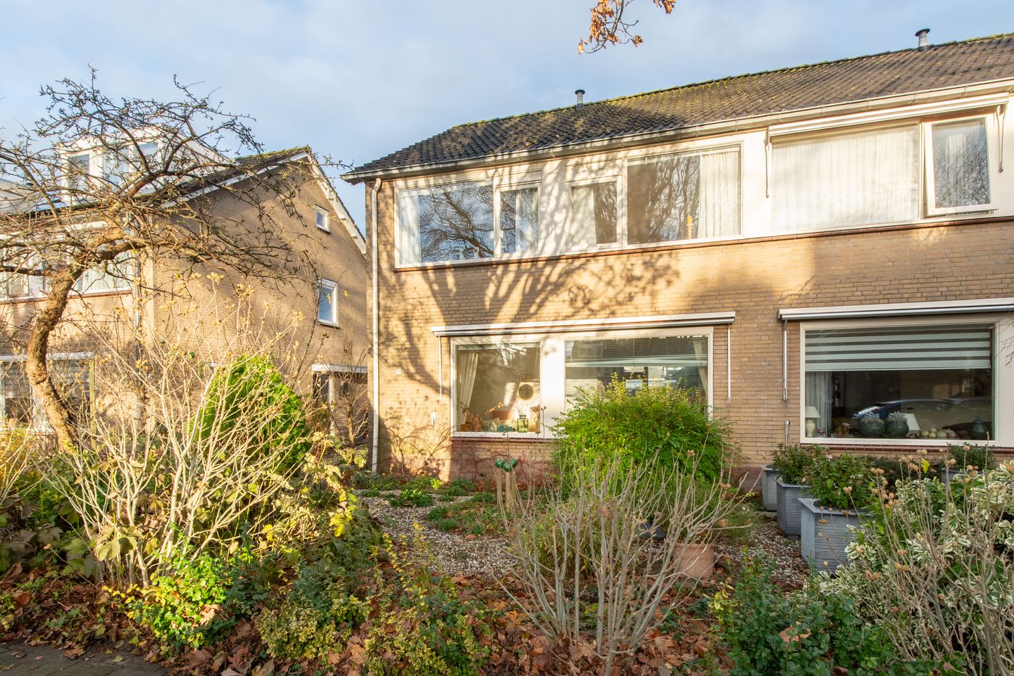 Foto 1 van Rotiusstraat 105