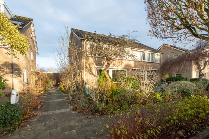 Foto 45 van Rotiusstraat 105