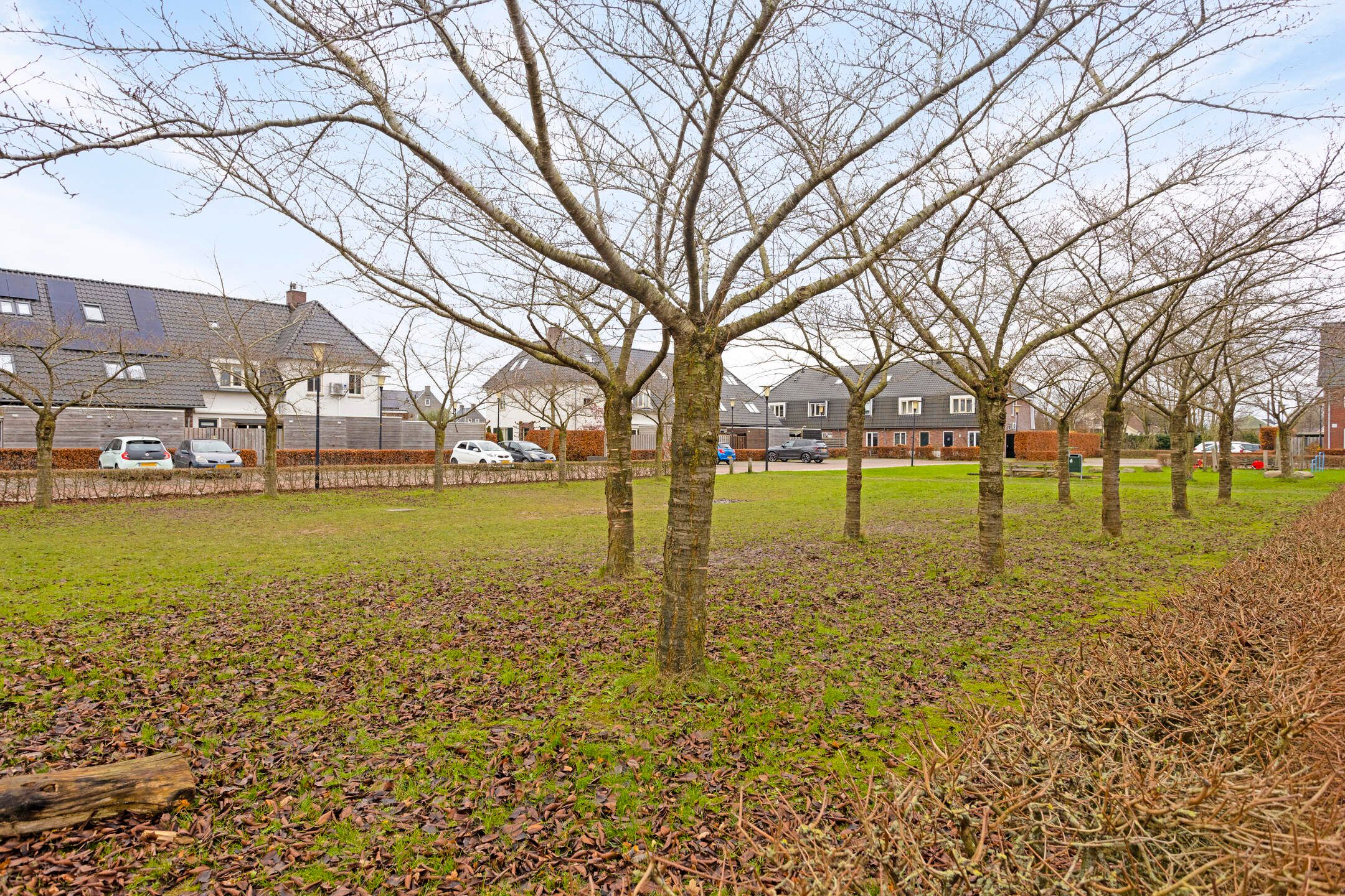 Foto 36 van De Hoeve 32