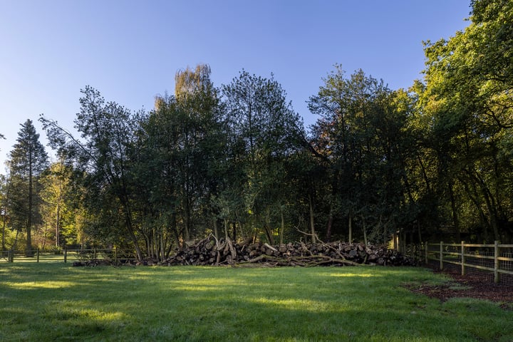 Bekijk foto 60 van Molenweg 6