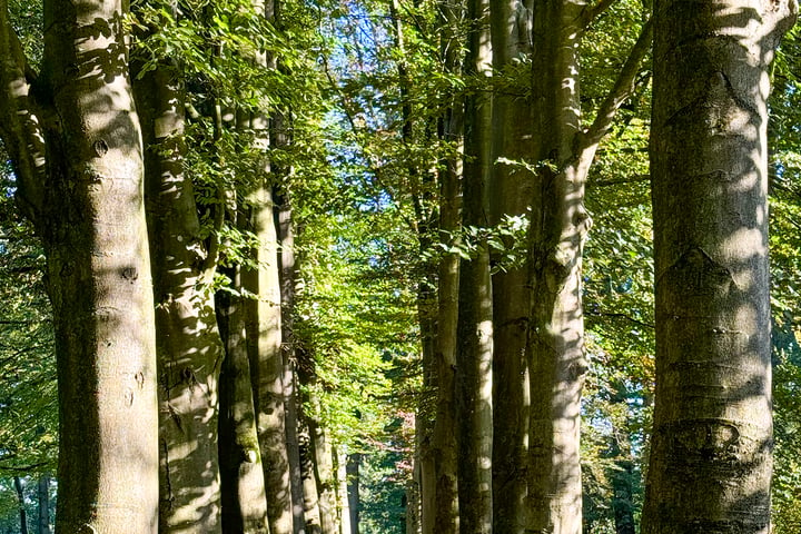 Bekijk foto 63 van Molenweg 6