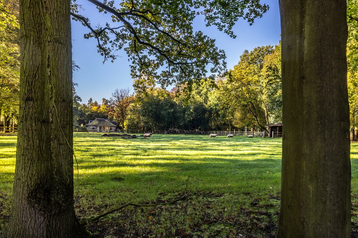 Bekijk foto 68 van Molenweg 6