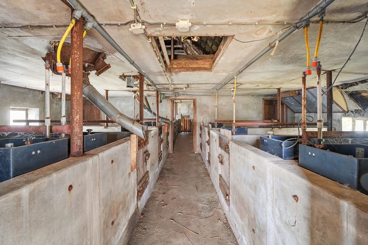 Photo 39 of Broekdijkje 1