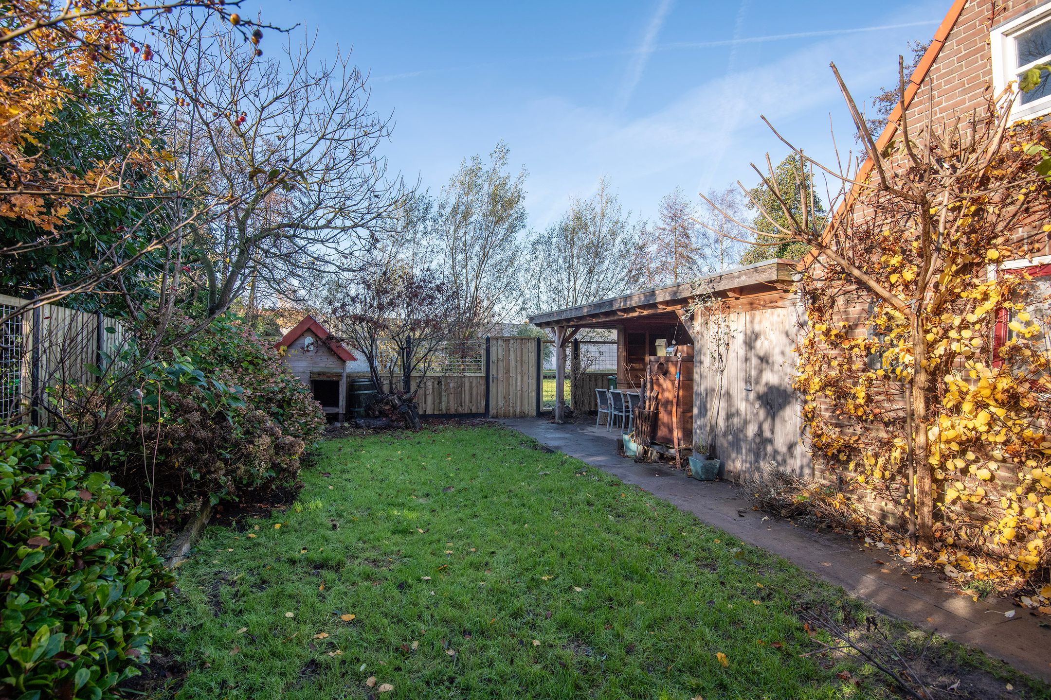 Foto 24 van Schrassertstraat 80