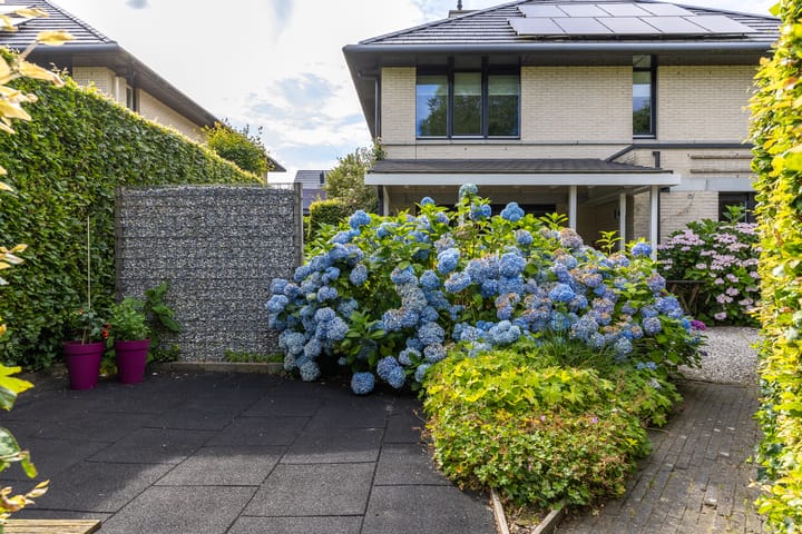 Foto 37 van Luitenantstraat 38