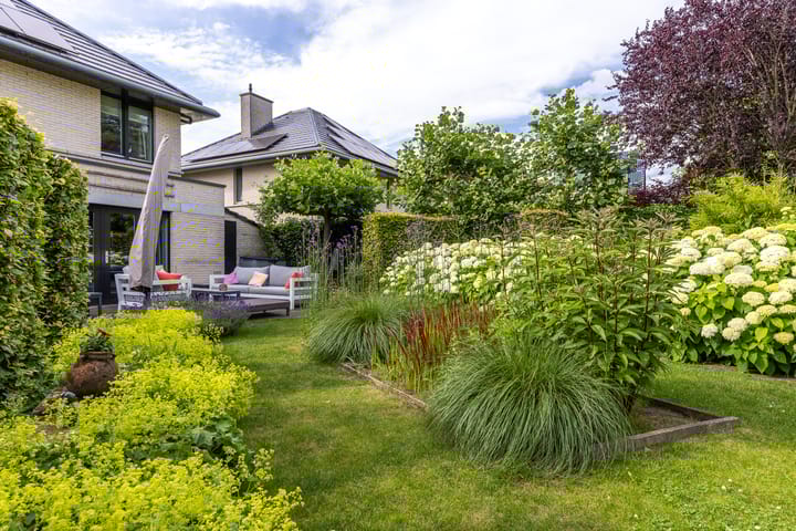 Foto 39 van Luitenantstraat 38