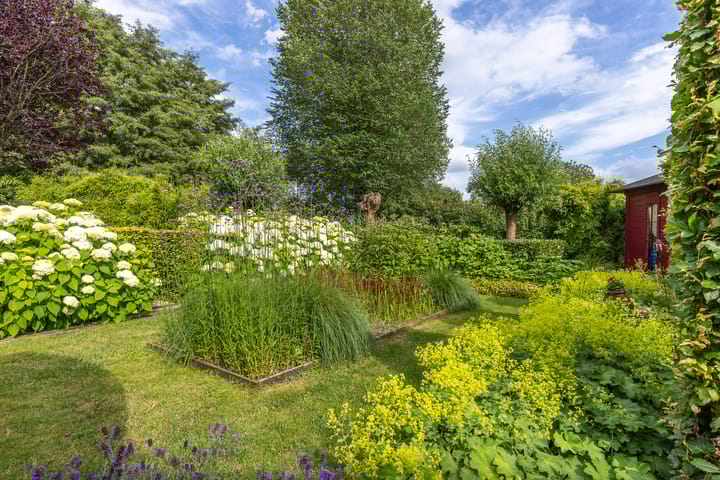 Foto 43 van Luitenantstraat 38