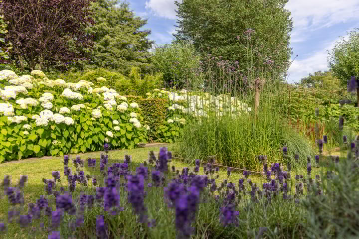 Foto 44 van Luitenantstraat 38